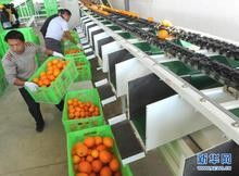 深圳二手食品生產線進口代理全流程解析 西班牙搬遷、備案中檢、報關一站式服務